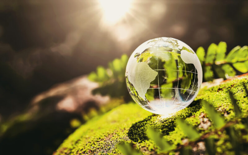 Unieke ervaring voor Hoogeveense Harmonie